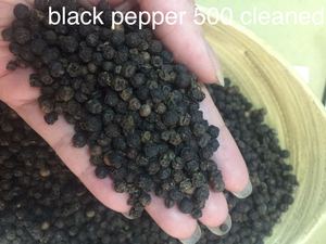 พริกไทยดำแห้งเวียดนามกระบวนการโฆษณา50กก. ได้รับการรับรองมาตรฐาน HACCP ISO (hanfimex Group 0084397766566)-ข้อเสนอที่ดีที่สุด - Product Image 2