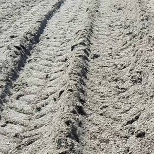 Granulados de pulpa de beet para alimentación Animal, calidad superior - Product Image 4