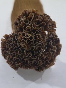 Le plus populaire prix usine acheter en gros U tip Vietnam cheveux humains gris bond extensions de cheveux - Product Image 6