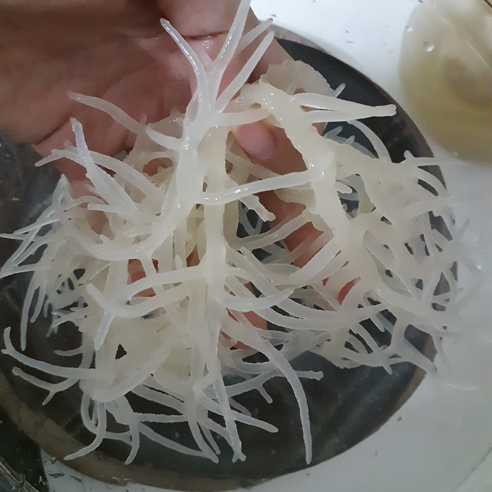 Оптовая продажа, дикие искусственные морские водоросли/белые водоросли, 100% натуральные от Вьетнама, может: 84 904 183 651
