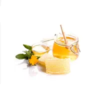 Acacia Honey Supplier from India