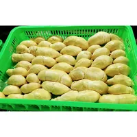 도매 자연 과일 식품 과일 제품 두리안 베트남 냉동 두리안