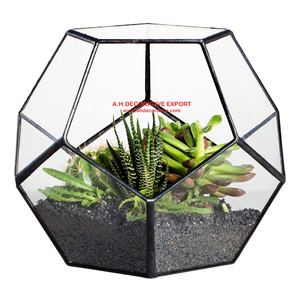 แจกันทรงเรขาคณิตกรอบโลหะสีดำ ทำจากแก้ว สำหรับตกแต่งภายในบ้าน แจกันปลูกต้นไม้ทำมือจากโลหะ มีจำหน่าย - Product Image 2