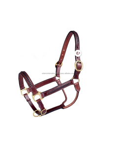 High Leather <b>Halter</b> for Horses with Fresh Design Premium Equestrian Product - Product Image 1