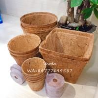 Pot en fibre de noix de coco écologique-pot en coco biodégradable-pot à tarte 100% naturelle pour gadren biologique
