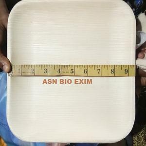 Vajilla Ecológica de Lujo y Elegante de Hoja de Palma de Areca Sostenible de Green Earth, Grado AA, Apta para Alimentos, Duradera - Product Image 3