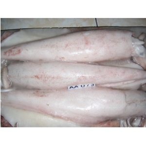 Mực Đỏ Đông Lạnh Loligo, Mực Đóng Gói Phong Cách Số Lượng Lớn, Hàng Mới Về, Có Trọng Lượng, Xuất Xứ La Tinh - Product Image 1