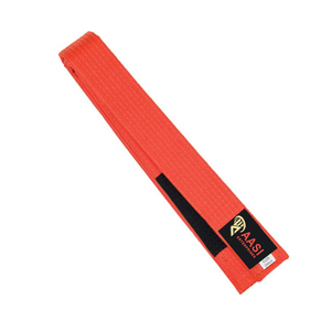 Cinturones Profesionales de Jiu Jitsu Brasileño (BJJ) con Barra de Manga para Franjas de Graduación 2026 - Product Image 5