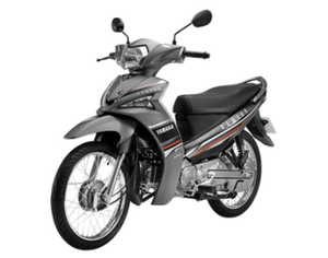 Nouvelle moto 110cc Brown Vietnam Vehicles pour le transport longue portée - Product Image 2