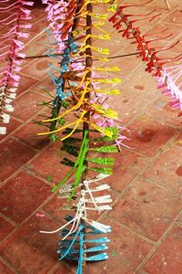 Colorido de libélula de Bambú - Product Image 6