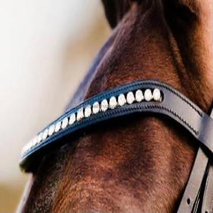 Banda para cejas de caballo de cuero inglés de alto acabado de alta calidad con banda decorativa para cejas de cristal brillante perla en todos los tamaños - Product Image 3