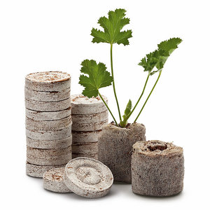 ถ่านกะลามะพร้าวสำหรับปลูกต้นไม้ในบ้าน เป็นมิตรกับสิ่งแวดล้อม ผลิตจากธรรมชาติ ใช้สำหรับปลูกต้นกล้า ผลิตในเวียดนาม - Product Image 3