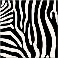 Zebra color