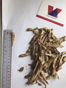 Wholesale <b>Dried</b> <b>Anchovies</b> From Vietnam/ Ms. Lucinda - Product Image 2