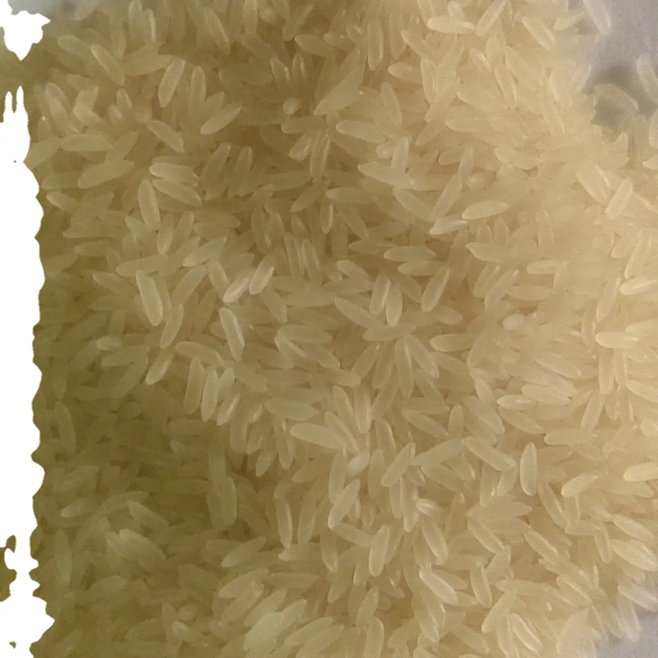 تاجر الجملة الأرز في الهند
