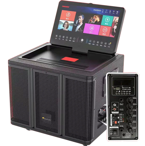 TEMEISHENG BT-812 High Quality Built-in VOD System and Screen Big Karaoke bluetooth Speaker with Microphone