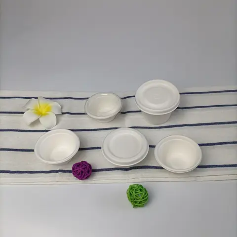 Plant Fiber Eco Anti-oil Sugarcane Disposable Flat Cup Lids Biodegradable Bagasse Sip Lid