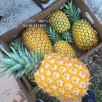 Koningin Gele Zoete Tropische & Subtropische Verse Ananas KIM MINH HALA Gecertificeerd 8kg Vietnam Export Hoogste Kwaliteit!