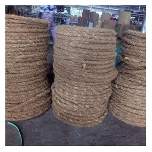 Chalotes secos naturales orgánicos vietnamitas Cebolla roja de alta calidad seca para exportación - Product Image 6