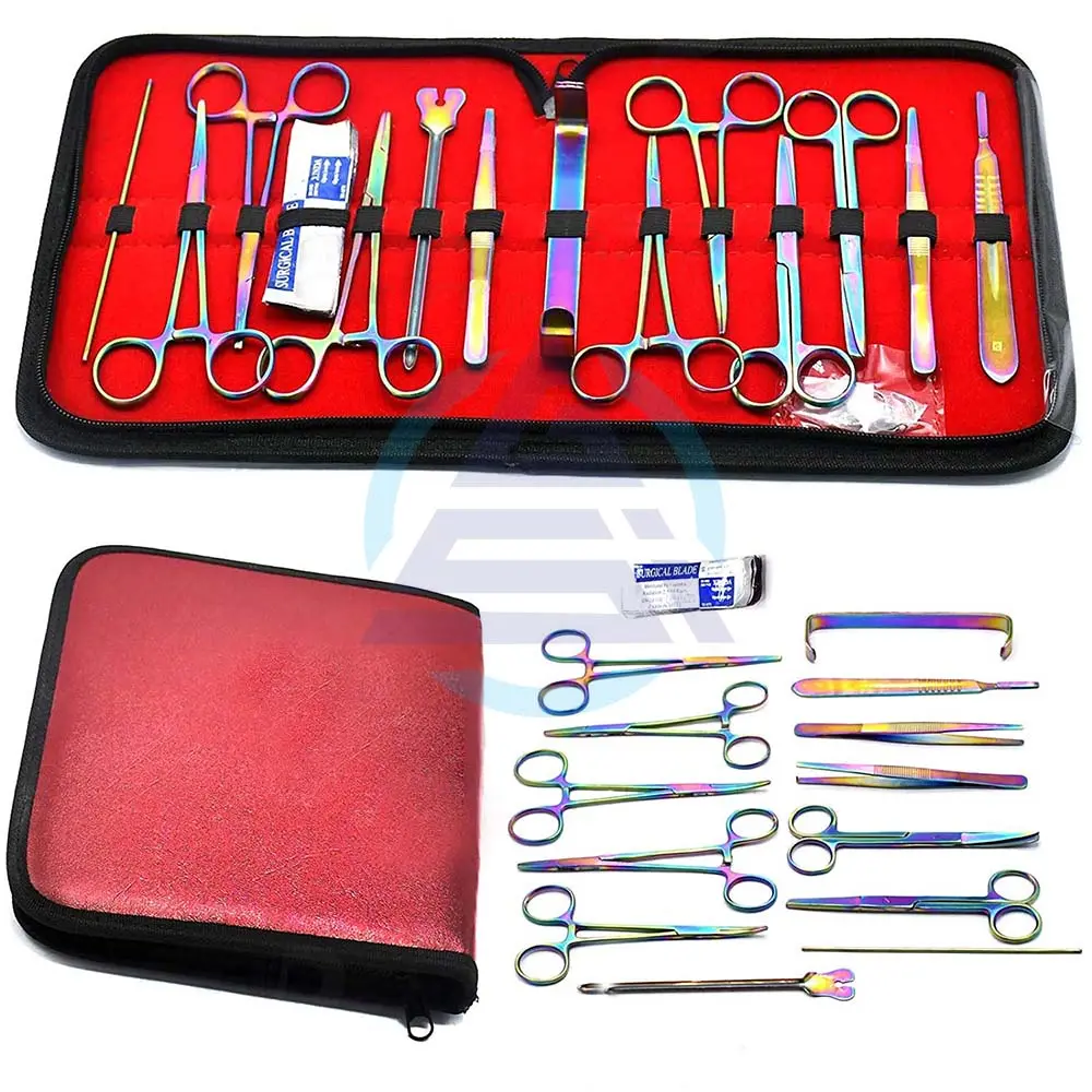 Kit de séparation multicolore arc-en-ciel, 23 pièces, partition de laboratoire avancée pour étudiants d'anatomie et biologique, laboratoire, vétérinaire, botanique