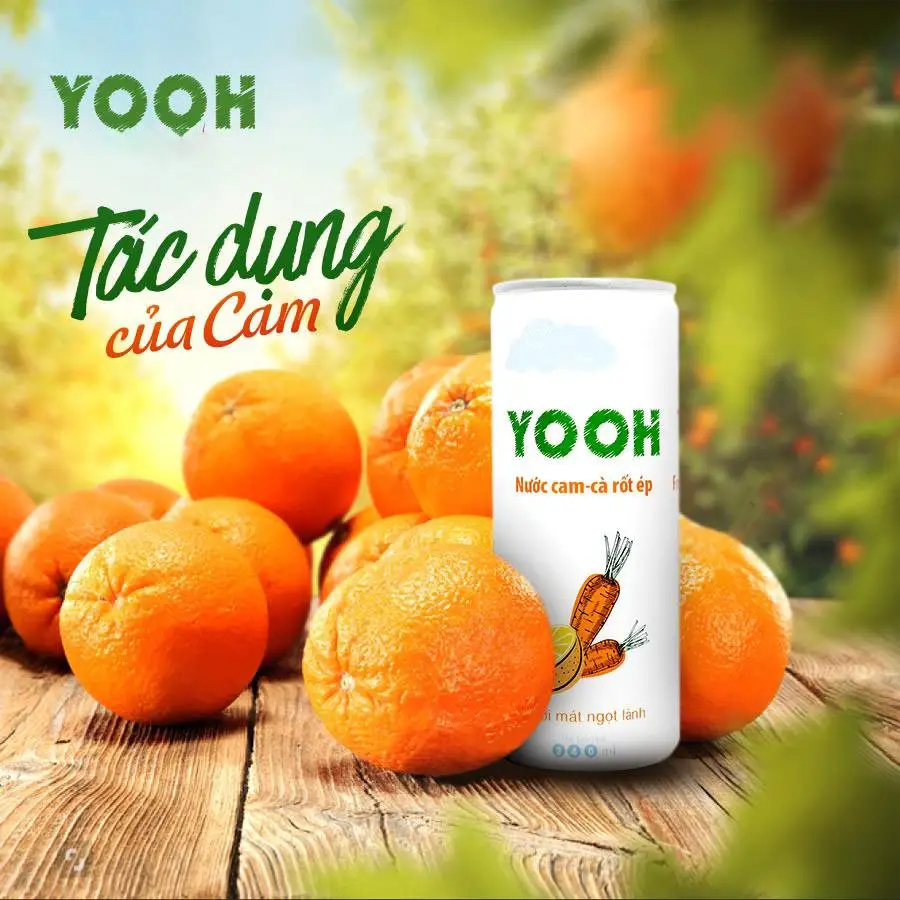 ताज़ा <span class=keywords><strong>पेय</strong></span> के साथ वियतनाम से ताजा YOOH नारंगी मिश्रण गाजर का रस 250ml