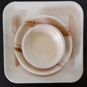 Funda de hoja de palma Areca desechable ecológica, diseño de país, Platos y platos para acampar, técnica de grabado sostenible - Product Image 5