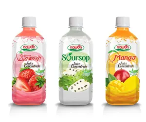 ISO果汁制造商批发价格欧洲有机OEM浓缩果汁越南pet瓶包装