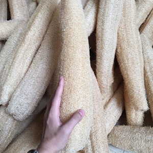 Esponja Natural de Luffa/Esponja Exfoliante de Luffa/Protector de Jabón de Luffa en Vietnam - Product Image 3