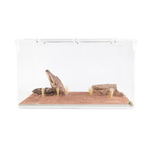 Nuevo Imperio de Hormigas, Accesorios para Hormiguero de Acrilato, 36X22.7X20cm, para Todas las Estaciones - Product Image 1