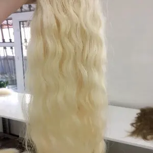 Real Russian Origin Royal Quality Virgin Bulk Hair by Human Hair Vendors