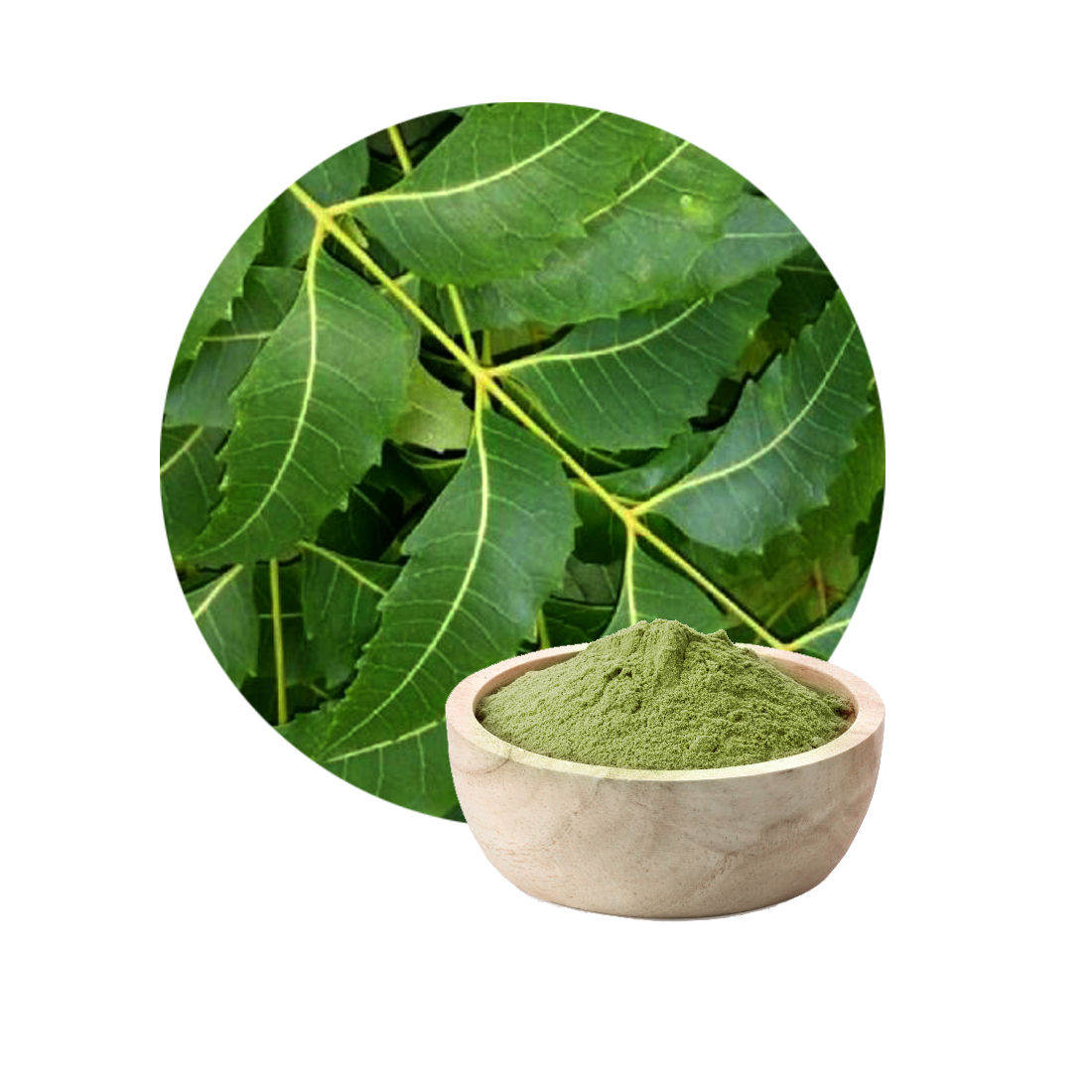 3 Times Sifted Herbal Extract Fresh Neem Leaves Powder Manufacturer in India