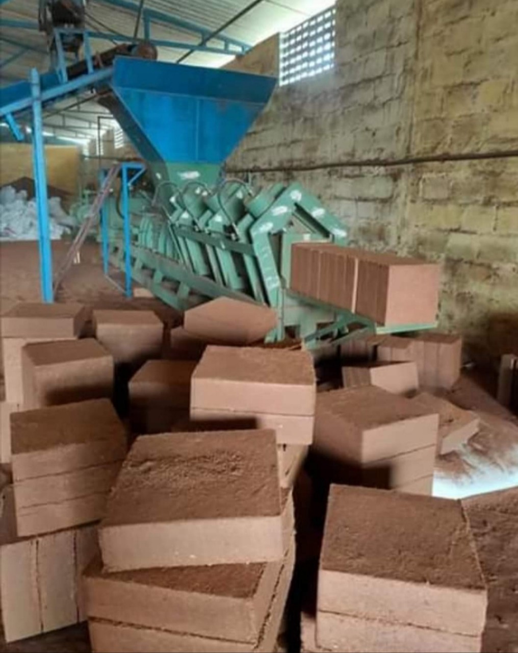 treated cocopeat block 5 kg coir for plants in house