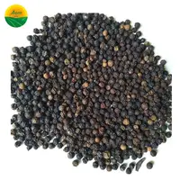 Black PEPPER FROM VIET NAM, High Quality