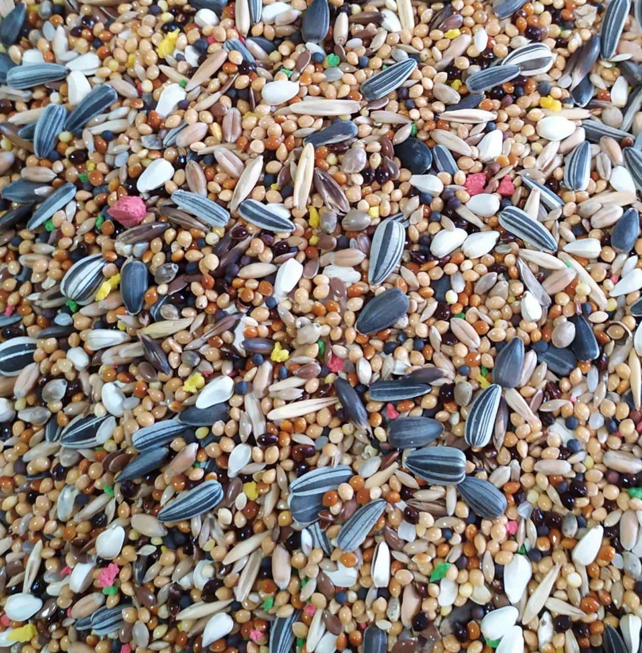 wild bird seed mixture