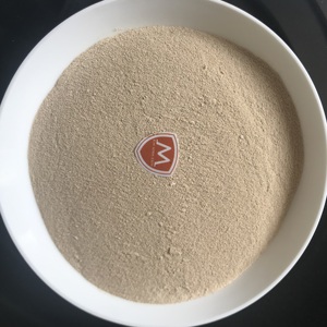 LEVADURA SECA DE CALIDAD PREMIUM DE VIETNAM - Product Image 2