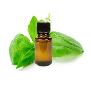 1000L IBC đóng gói chứng nhận giá tốt nhất karanja dầu cho doanh số bán hàng được sử dụng như tinh dầu với đóng gói tùy chỉnh - Product Image 4