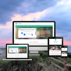 Top Listed Software Development Company in India | Award Winning Software Design & Development Services by Webroot Infosoft - Product Image 1