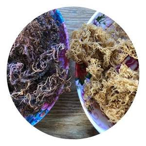 Raw <b>Sea</b> <b>Moss</b> for Making <b>Sea</b> <b>Moss</b> <b>Gel</b>/ Wholesale <b>Irish</b> SeaMoss/ Dried Eucheuma Cottonii Ms. Lily - Product Image 1