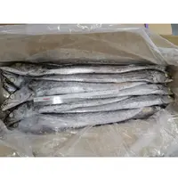 Fresh Frozen Whole Round Ribbon Fish with Natural Silver Color from Malaysia