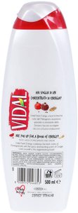 BATH FOAM VIDAL 500 ML <b>FRESH</b> ENERGY POMEGRANATE & <b>GINGER</b> - Product Image 2