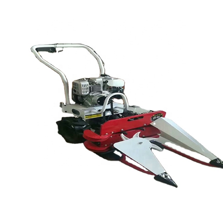 Профессиональная машина для сбора чая, 52 куб. См, сельскохозяйственная машина для сбора лаванды на два человека