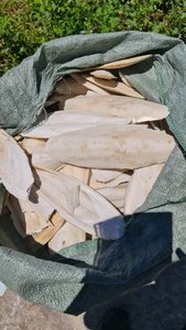 Hổ phách mự<span class=keywords><strong>c</strong></span> xương cho chim <span class=keywords><strong>c</strong></span>á chó gia sú<span class=keywords><strong>c</strong></span> nhập khẩu mã + 84383004939 - Product Image 4