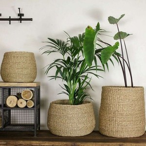 Handmade Woven Seagrass <b>Belly</b> <b>Basket</b> Indoor Large Seaweed Decorative Planter Garden Plant Pot - Product Image 2