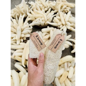 ฟองน้ำใยบวบธรรมชาติสไตล์เวียดนาม-ยามิ - Product Image 4