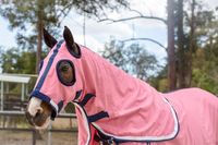 Ensemble de couverture et de capuche de luxe pour cheval d'été 2022, couvertures pour cheval d'été 2022, meilleure qualité, couleur rose