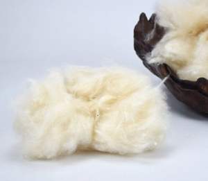 Fibre de Kapok Naturelle - Meilleur Prix du Vietnam - Product Image 2