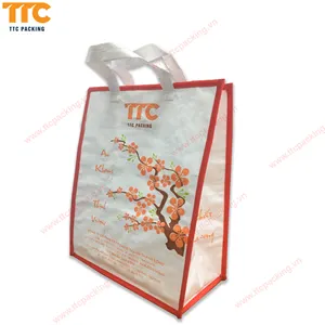 TTC ambalaj alışveriş çantaları özelleştirmek ile daha fazla renk ve modern tasarım Vietnam üretim PP dokuma çanta