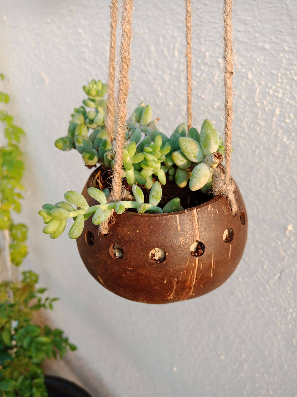 สีน้ำตาล