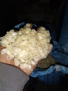 ESCALAS DE TILAPIA DE PESCADO SECO para la producción de gelatina con el mejor precio en Vietnam Balanza de pescado de tilapia descalcificada + 84815570479 - Product Image 6