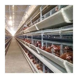 2019 Mới Loại Tự Động Hai Lớp Gà Lồng Hai Người Có Thể Tăng 60,000 Hai Lớp Gà - Product Image 6